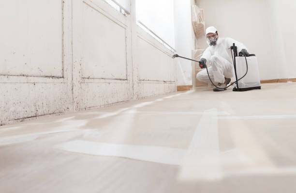24/7 Emergency Black Mold Remediation experts in Marlboro, NJ